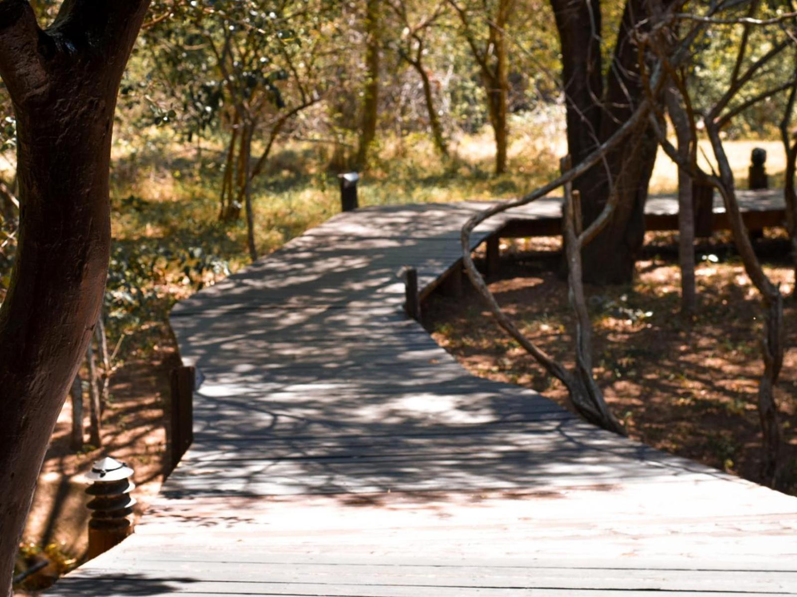 Ihlozi Bush Lodge Hluhluwe Bagian luar foto